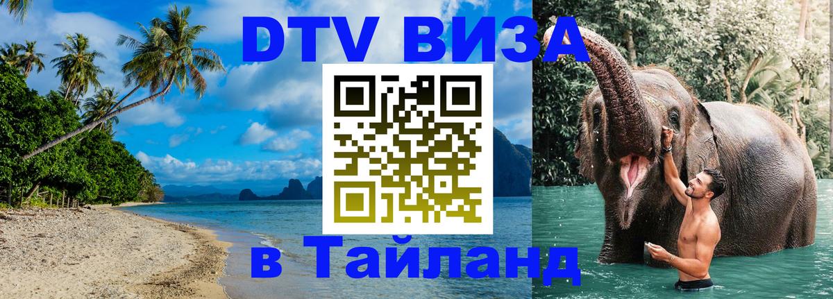 Оформление DTV визы под ключ: стоимость и тарифы, только загранпаспорт - 